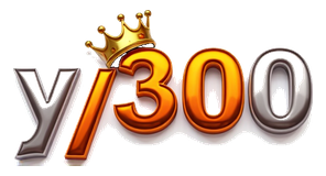 y300